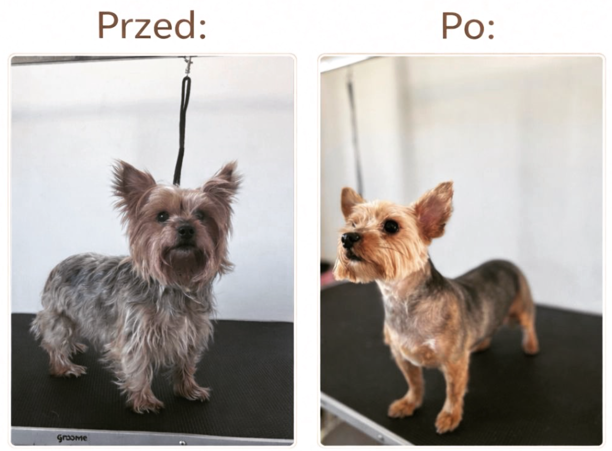 Realizacja groomerska 3