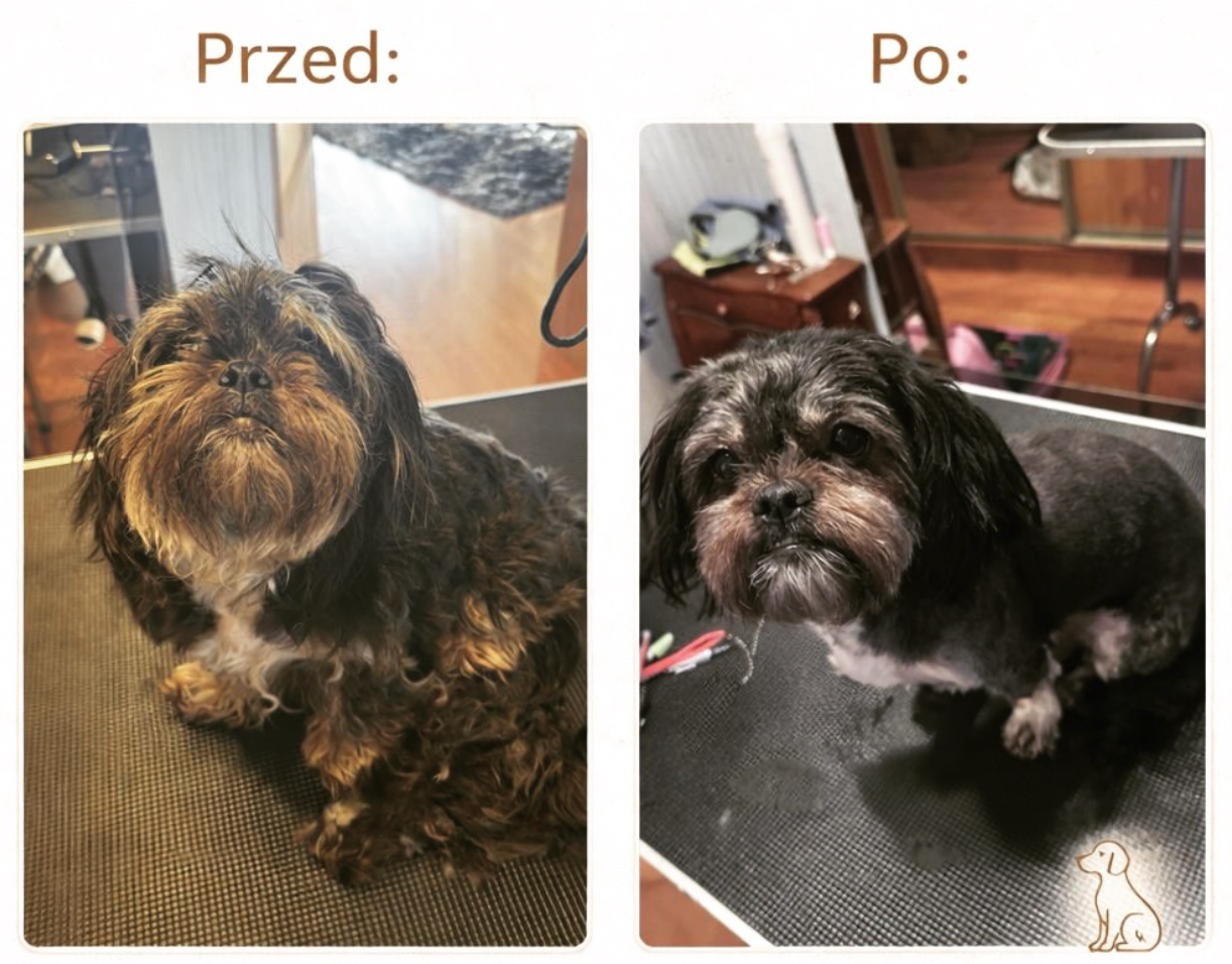 Realizacja groomerska 5